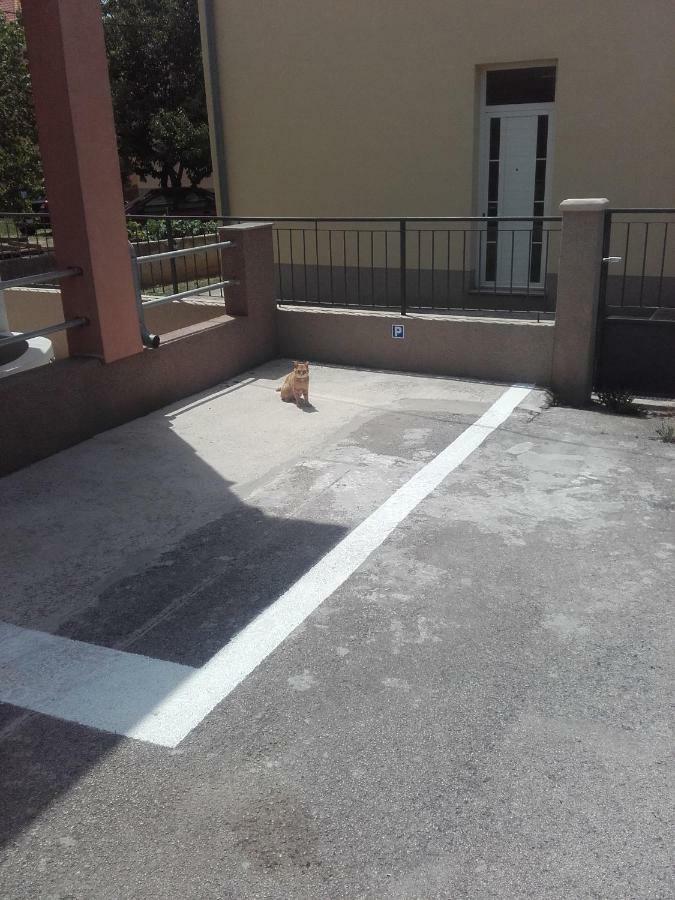 Apartment Maremy Zadar